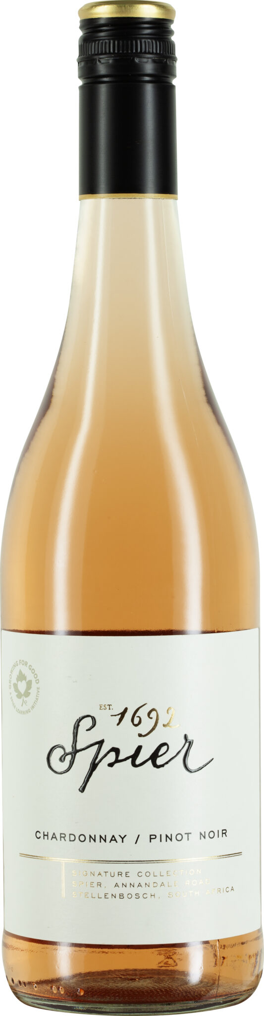 Spier Signature, Chardonnay Pinot Noir Rosé Western Cape